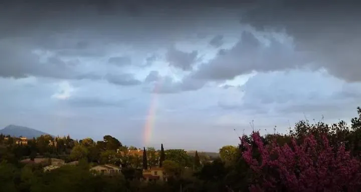 Nice Studio Surrounded By Nature! Grasse Apartment